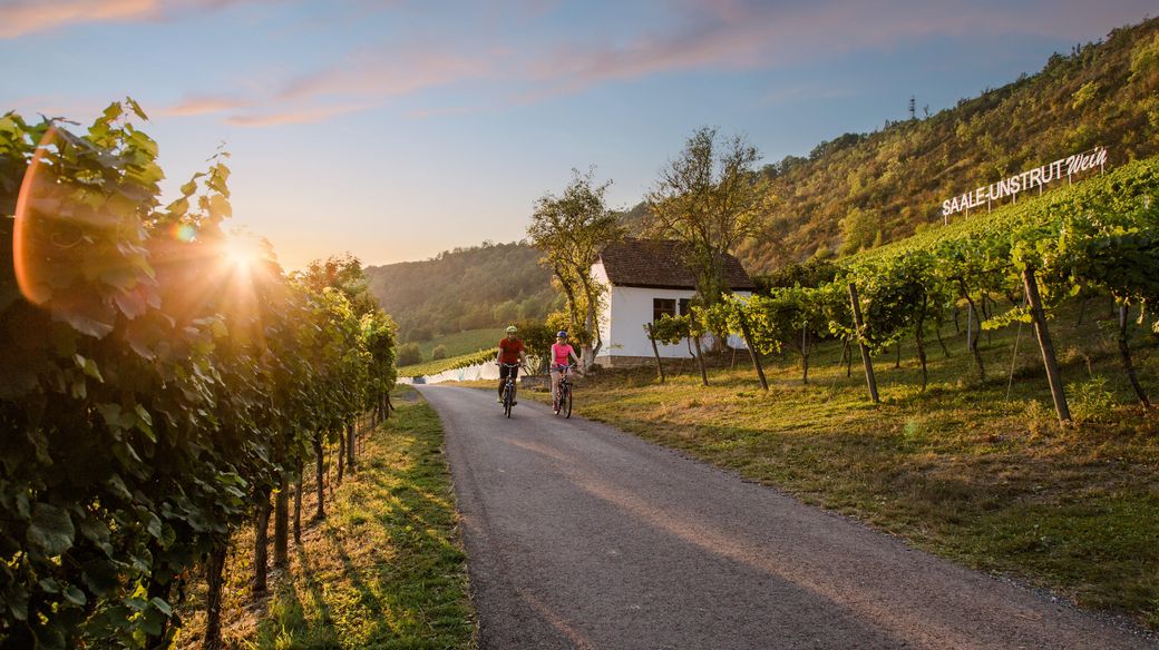 Transmedial , Webreduziert, Bad Kösen, Weinberge, Saalhäuser, Personen , Sonne , Sonnenuntergang , Abendstimmung, Wein , Rad 