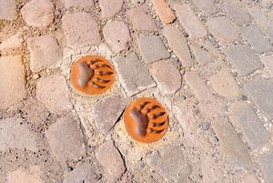 Bärentatzenweg, Droyßig, Sommer, Stock, Transmedial