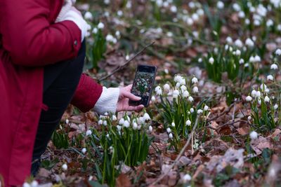 Märzenbechertal im Ziegelrodaer Forst bei Landgrafroda, Querfurt