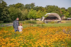 Matte, Sommer, Zeitz, Familie, Schlosspark , Kinder, Personen 
