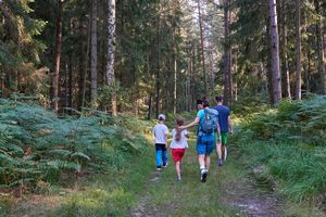 Unterwegs auf dem Walderlebnispfad bei Reinhardtsdorf-Schöna