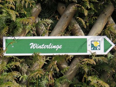 Winterling-Wanderweg in Jena