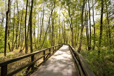 Barrierefrei unterwegs auf dem Bad Zwischenahner Meerweg