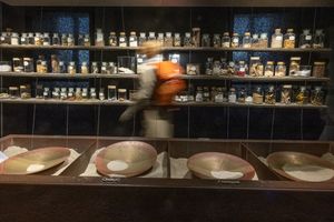 Matte , Saale-Unstrut , Saaleland , WebApp , Herbst , Leuchtenburg , Seitenroda , Burg , Person , Frau , herbstlich 