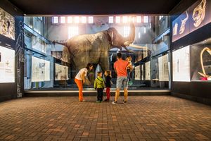 Transmedial , Braunsbedra, Pfännerhall, Ausstellung, Sommer, Kinder , Personen , Familie