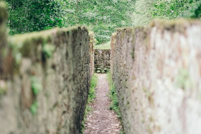 Daniel Remler , Herzogstuhl , Hummelshain , Jagdanlage , Natur , Quelle, Rieseneck , Saale-Unstrut , Wald 