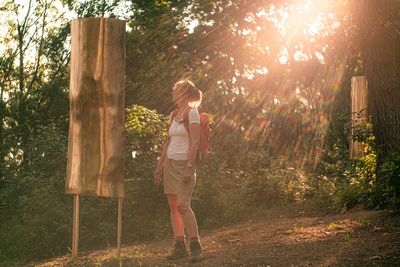 Sommer, Nebra, Matte, Kunstweg, Sonne, Wald, Person