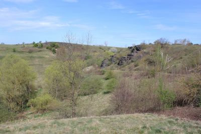 Porphyrlandschaft zwischen Halle und Wettin