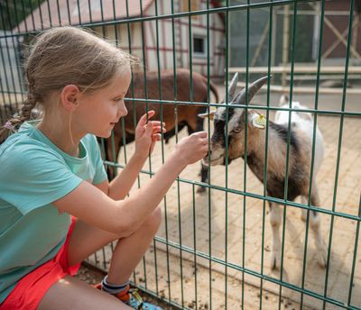 Matte, Lützen, Sommer, Kinder, Tierpark , Tiere