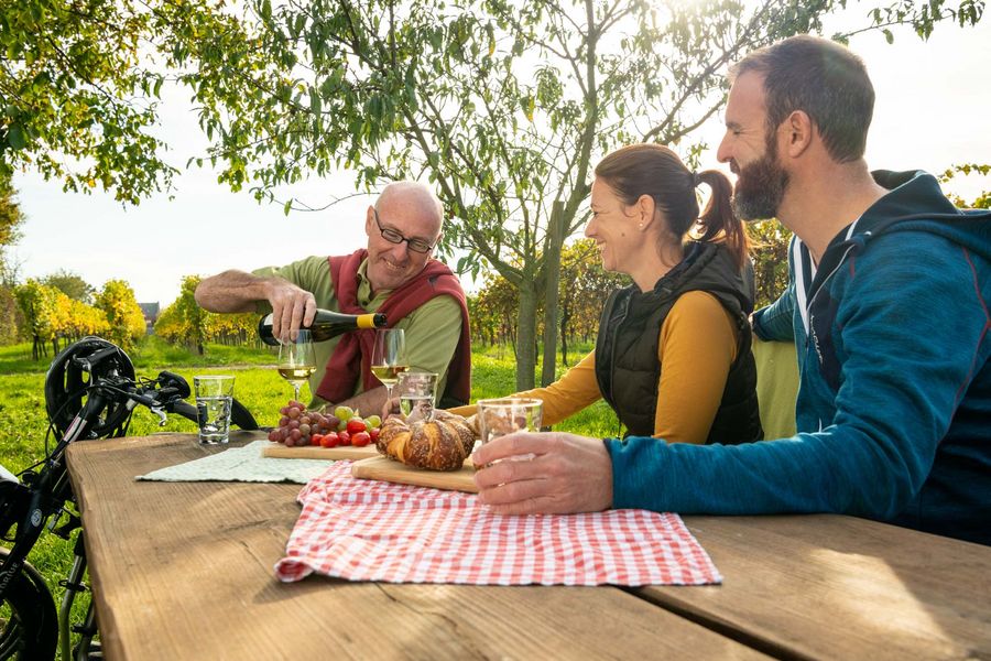 Nach einer Handbiketour genießen Gäste das Picknick in den Weinbergen an der Südlichen Weinstraße. Foto: Dominik Ketz