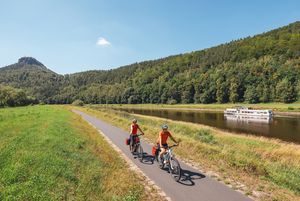 Elberadweg mit Tafelberg Lilienstein im Hintergrund