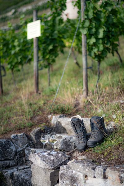 Wanderung in den Weinbergen bei Freyburg