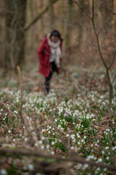 Märzenbechertal im Ziegelrodaer Forst bei Landgrafroda, Querfurt