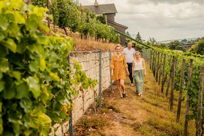Frau , Freyburg , Herzoglicher Weinberg, Mann , Matte , Personen , Saale-Unstrut , Sommer , Wein , Weinberg , Weinreben, sommerlich 