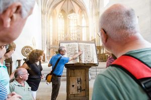Transmedial , Naumburg , Naumburger Dom , Dom , Sommer, Gruppe, Führung
