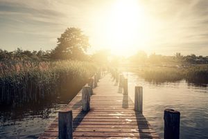 Matte , Sommer , See , Merseburg , Leuna , Wallendorfer See, Raßnitzer See, Wasser , Saale-Unstrut 