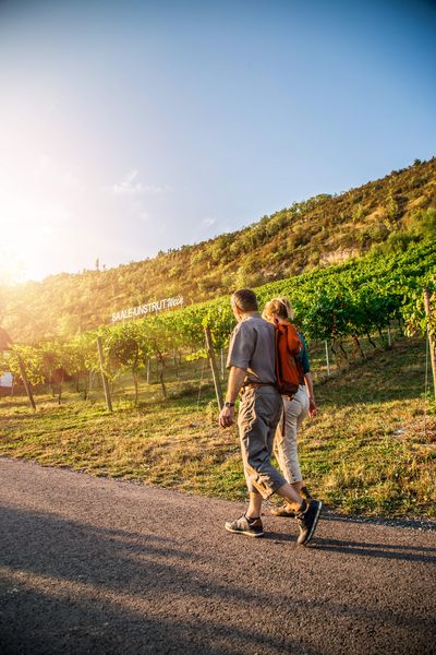 Bad Kösen, Transmedial , Sommer, Saalhäuser, Weinberge, Sonne , Sonnenuntergang , Personen , Wein , Paar , blauer Himmel