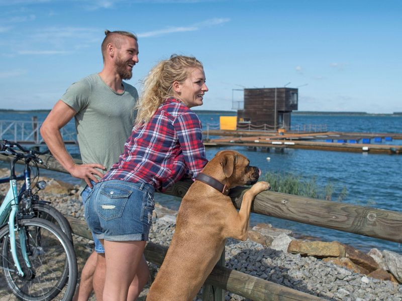 Nase im Wind: Die Radtour auf dem Partwitzer Seerundweg ist auch bei Vierbeinern beliebt. Foto: Tourismusverband Lausitzer Seenland, Nada Quenzel 