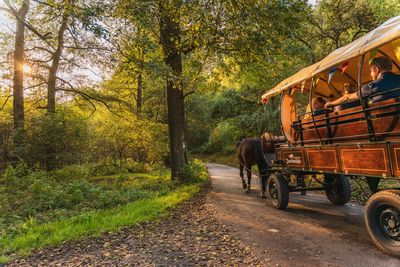 Herbst , Matysik , Saale-Unstrut , Zeitzgrund 