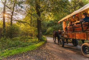 Herbst , Matysik , Saale-Unstrut , Zeitzgrund 