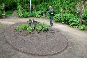 Beete im Bauhaus-Stil: Gartenmeister Frank Bergmann beim Bepflanzen der Beete in den Gärten der Dornburger Schlösser